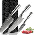 3 Pieces Damascus Kitchen Knife Set with 8” Chef Knife, 7” Santoku Knife, 3.5” Paring Knife, 67 Layer Handmade Damascus VG10 Steel Core, Hammered Ergonomic Handle (Gift Box)