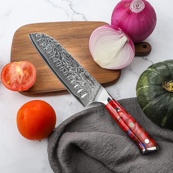 Chef Cooking Knives Set- Kitchen Knife Set of 5 Piece - Ultra-Sharp VG10 Damascus Steel & Resin Handle - Xuan Series (Sunset Red)
