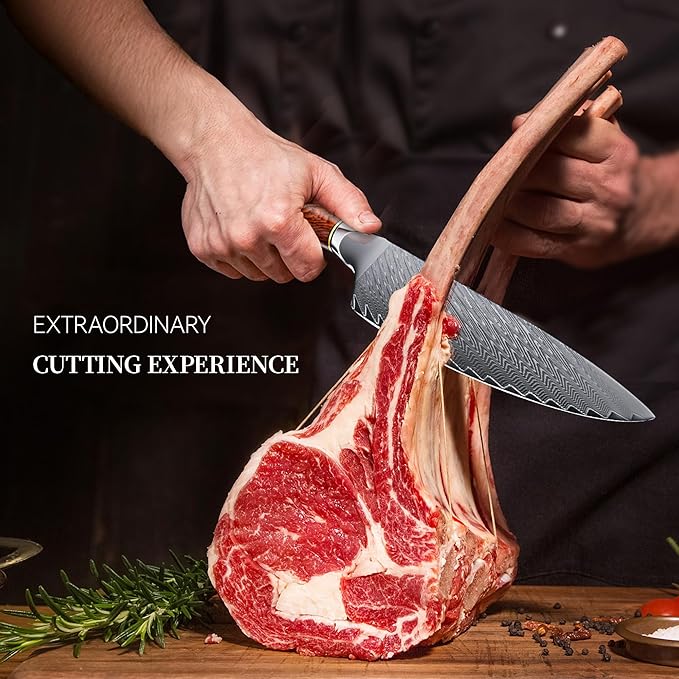 8" Chef's Knife, Japanese Damascus Chefs Knife 67 Layers High Carbon VG10 Steel Core with Wood Ergonomic Handle, Gift Box