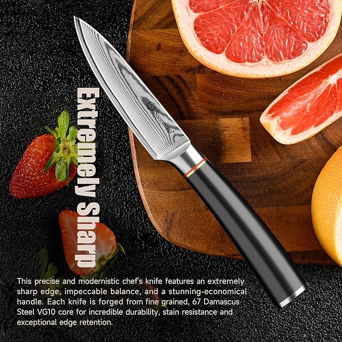 Sunnecko Damascus Paring Knife,Japanese VG10 Core Steel Damascus Fruit Knife,Professional Razor Sharp Small Kitchen Knives with Knives Sharpner