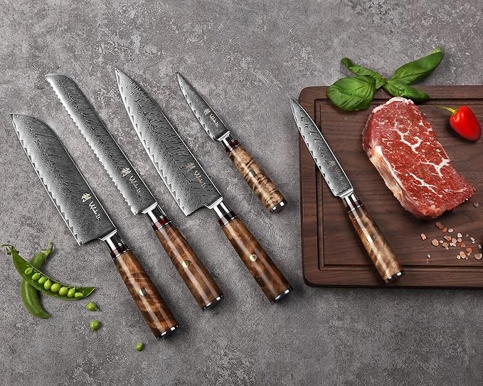 Wakoli Damascus Chef Knife Set with Magnetic Block – 5-Piece Professional Kitchen Knife Collection | Genuine 67-Layer Damascus Steel Blades with VG10 Core | Ergonomic Sycamore Wood Handles