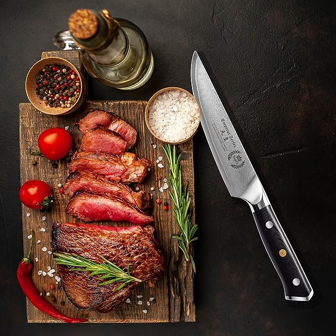 Steak Knife Set - 4 Piece - 5 Inch Damascus Steel AUS-10V High Carbon Steel Blade - G-10 Garolite Ergonomic Handle