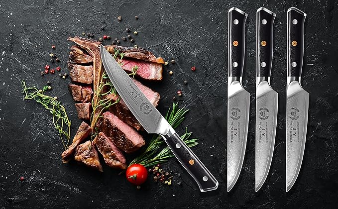 Steak Knife Set - 4 Piece - 5 Inch Damascus Steel AUS-10V High Carbon Steel Blade - G-10 Garolite Ergonomic Handle
