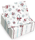 Papyrus Disposable Tabletop Dinnerware Set - Elegant and Sturdy Plates and Cutlery for Any Occasion, Peppermint, Napkins