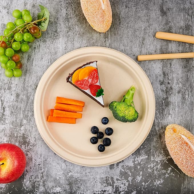 Vplus 500 Pack Compostable Disposable Paper Plates 10.25 inch Super Strong Paper Plates 100% Bagasse Natural Biodegradable Eco-Friendly Sugarcane (nature)