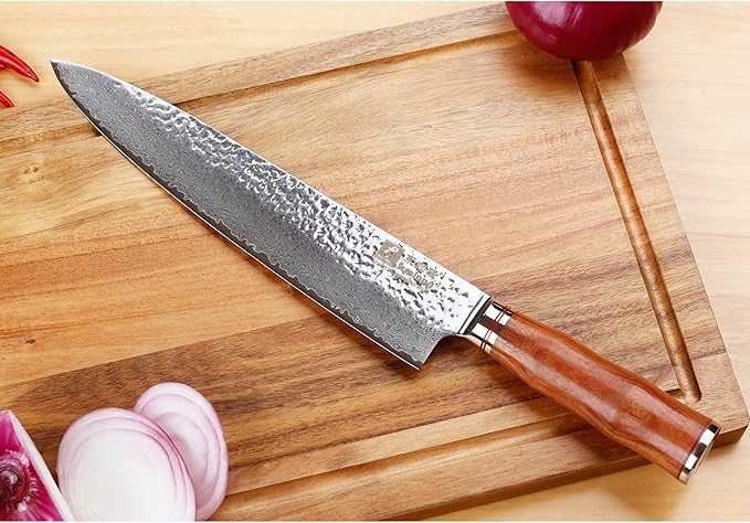 SUNLONG Gyuto 10 inch Pro Chef's Knife Japanese Knife Kitchen Knife - Hammered Damascus VG10 Steel - Bloodwood Handle